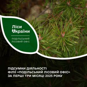 Лісівники почали рік на позитиві